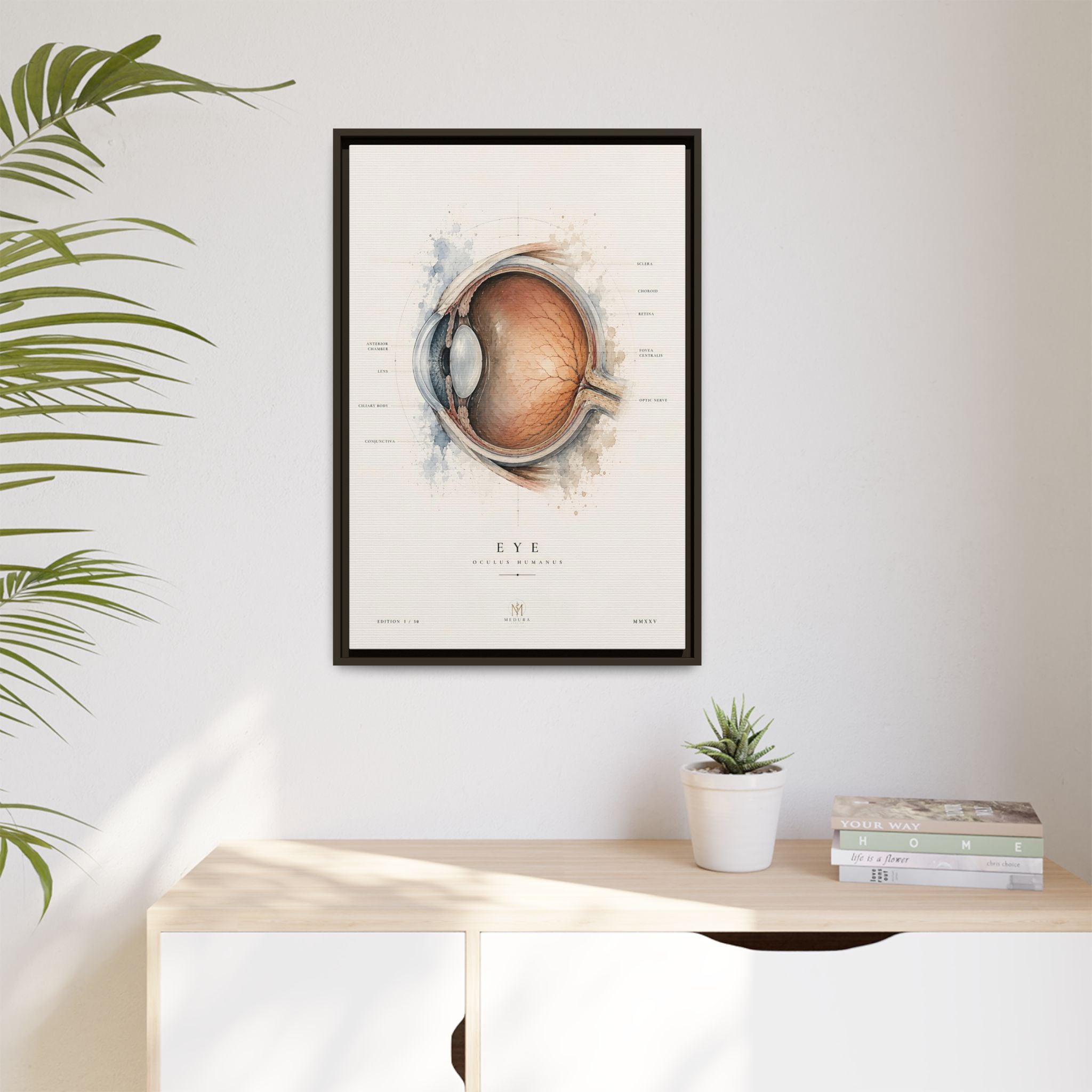 Anatomical Eye Canvas Print | Luxury Ophthalmology Wall Art | Museum-Inspired Medical Decor