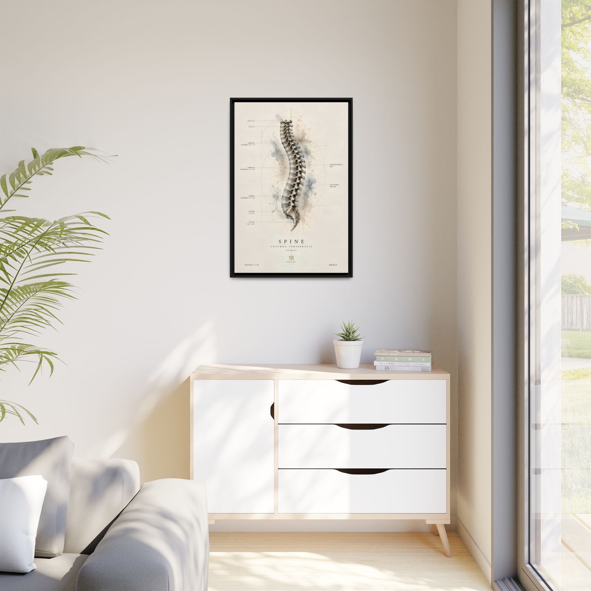 Anatomical Spine Wall Art | Luxury Vertebral Column Canvas Print | Museum-Inspired Fine Art