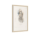 Anatomical Foot Skeleton Wall Art | Luxury Podiatry Canvas Print | Museum-Inspired Fine Art