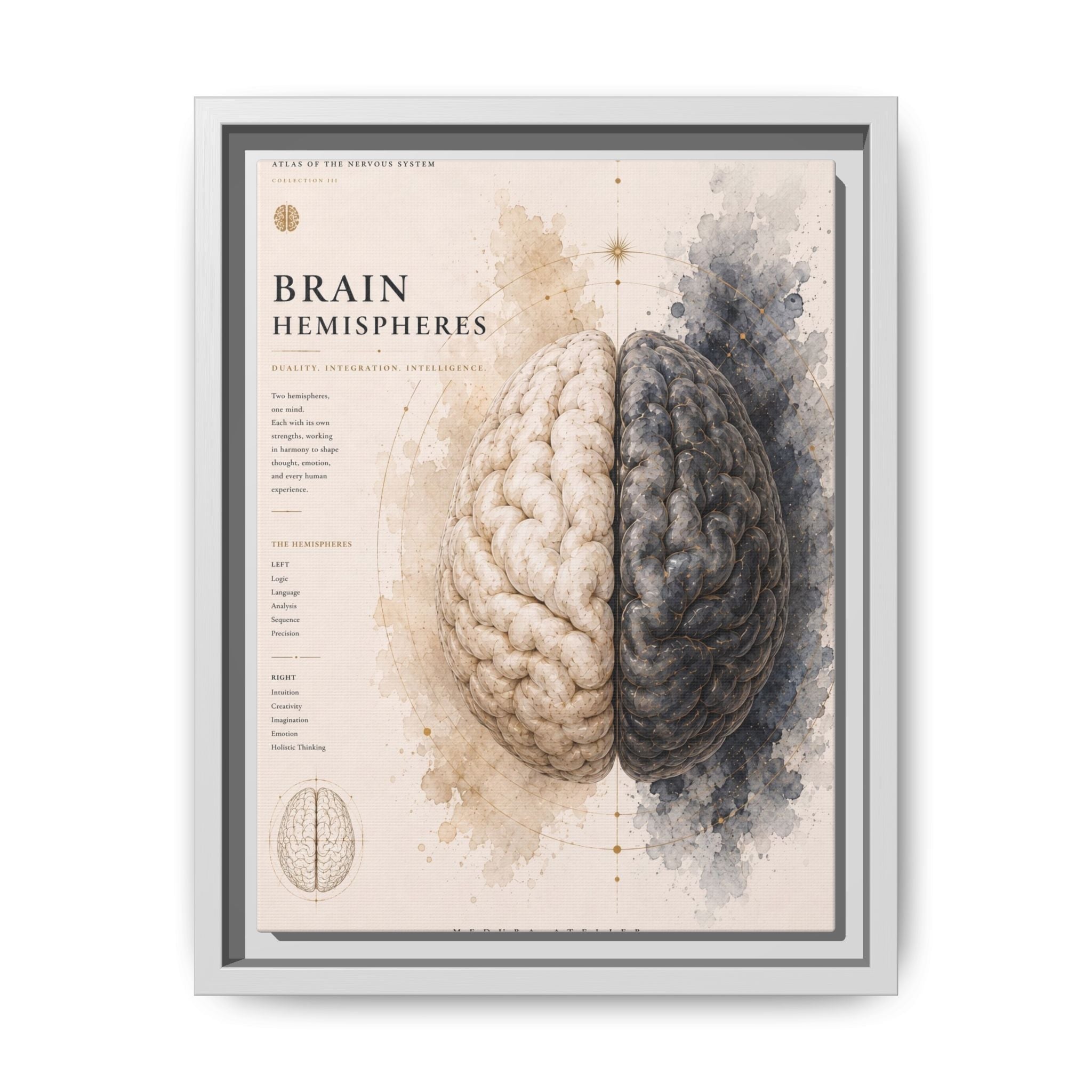 Brain Hemispheres Wall Art | Luxury Neuroscience Canvas Print | Museum-Inspired Fine Art