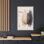 Brain Hemispheres Wall Art | Luxury Neuroscience Canvas Print | Museum-Inspired Fine Art