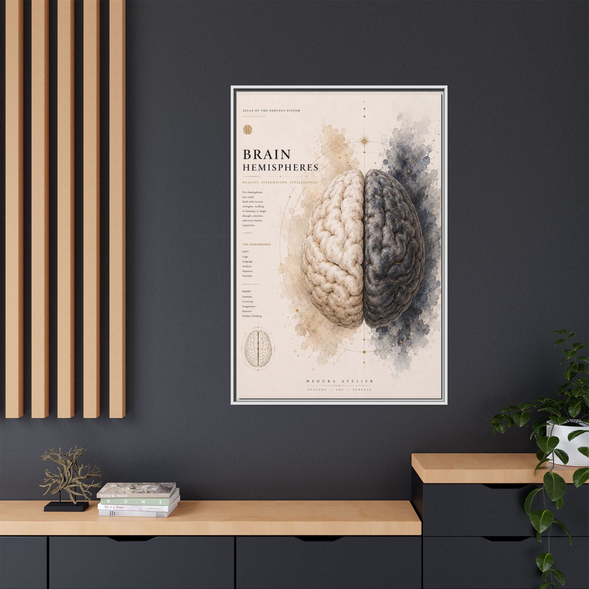 Brain Hemispheres Wall Art | Luxury Neuroscience Canvas Print | Museum-Inspired Fine Art