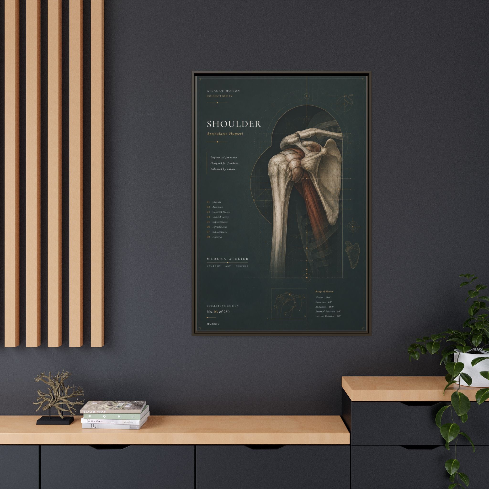 Copy of Atlas of Motion – Knee Wall Art | Luxury Orthopedic Canvas Print | Museum-Inspired Fine Art