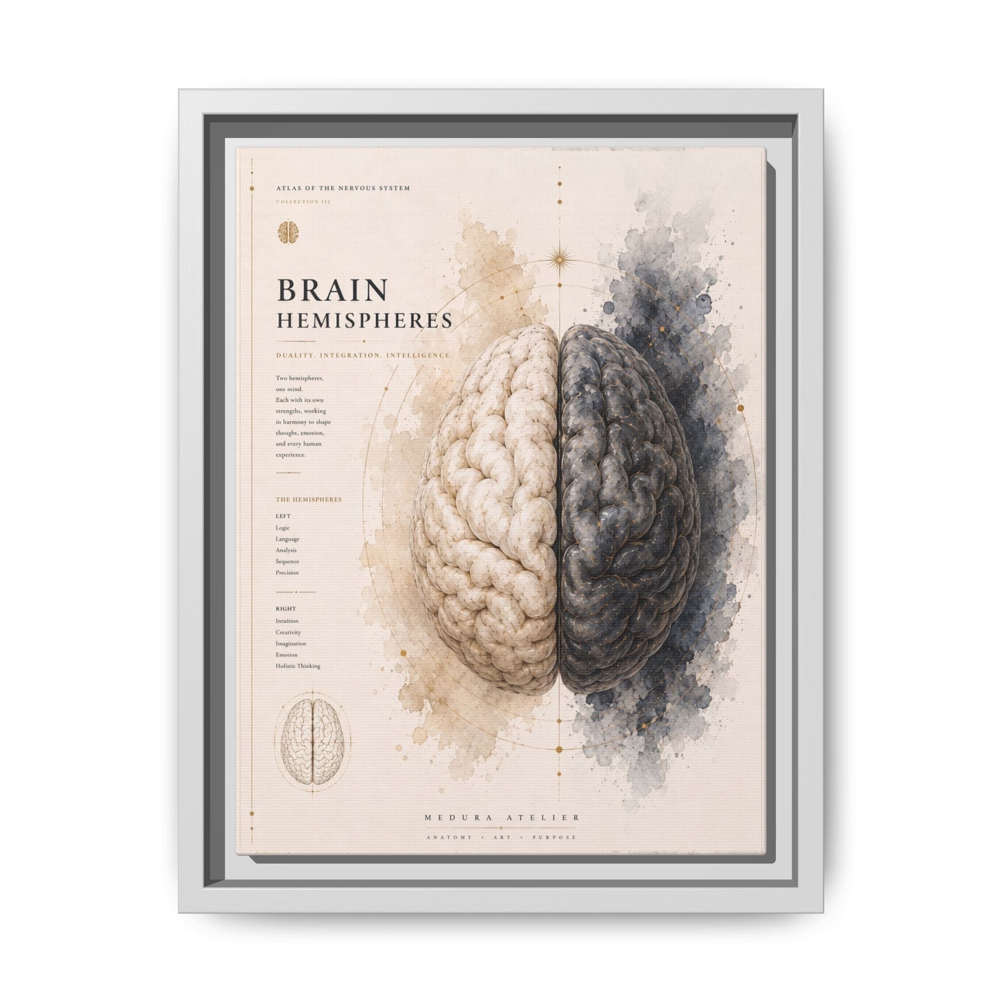 Brain Hemispheres Wall Art | Luxury Neuroscience Canvas Print | Museum-Inspired Fine Art