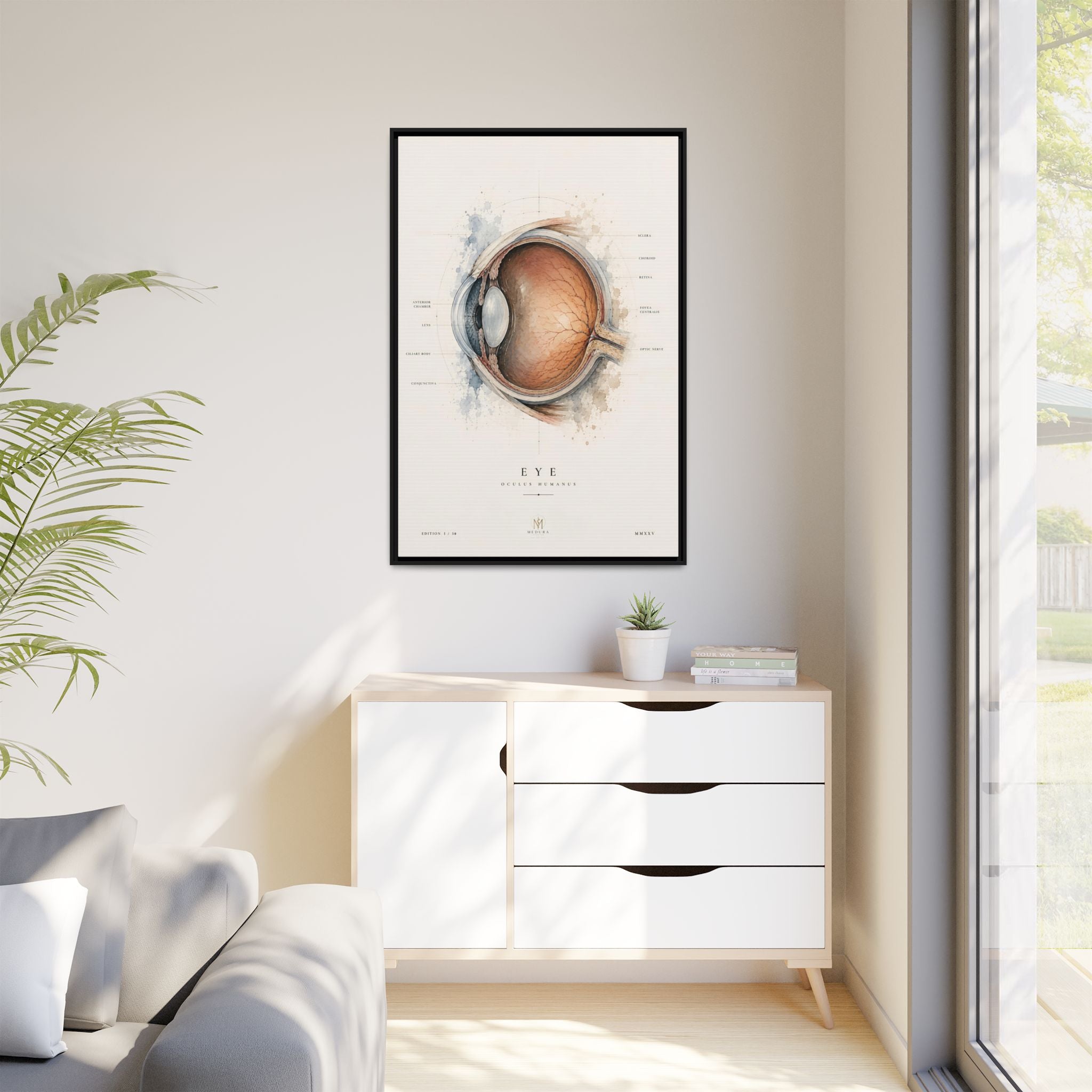 Anatomical Eye Canvas Print | Luxury Ophthalmology Wall Art | Museum-Inspired Medical Decor