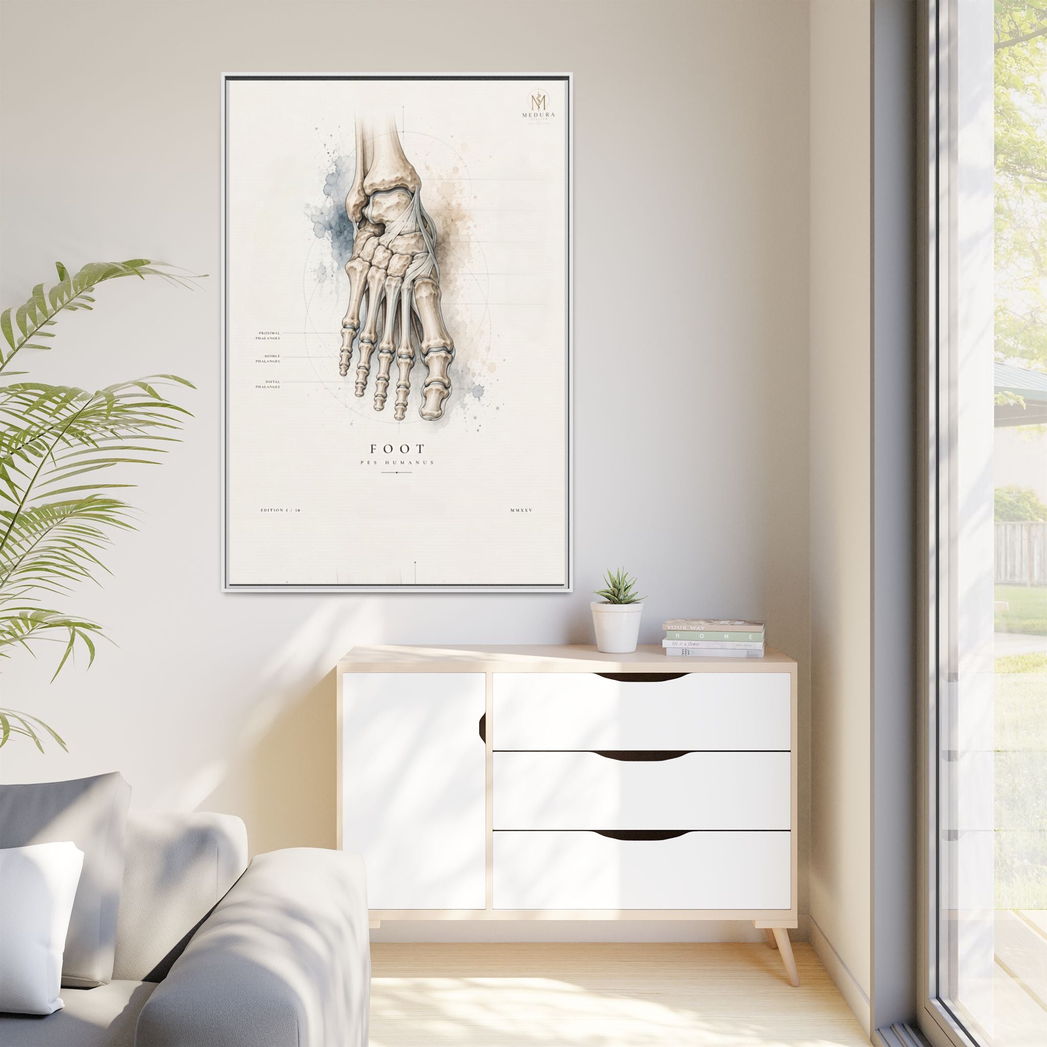 Anatomical Foot Skeleton Wall Art | Luxury Podiatry Canvas Print | Museum-Inspired Fine Art