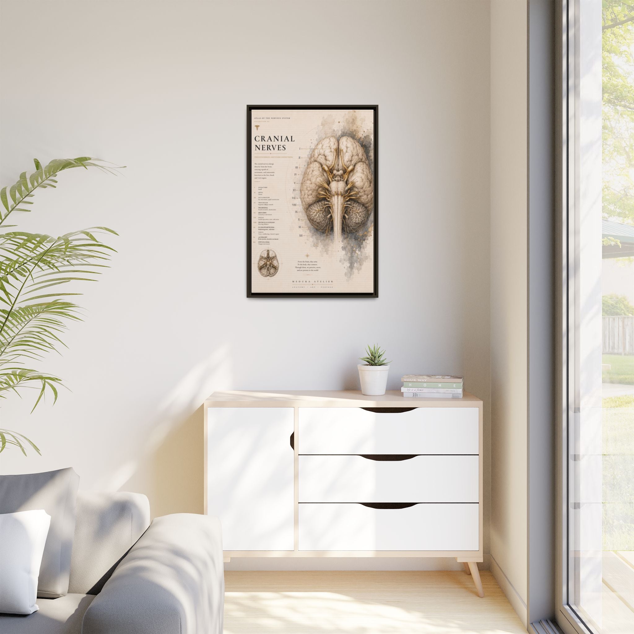 White Matter Brain Wall Art | Luxury Neuroscience Canvas Print | Museum-Inspired Fine Art