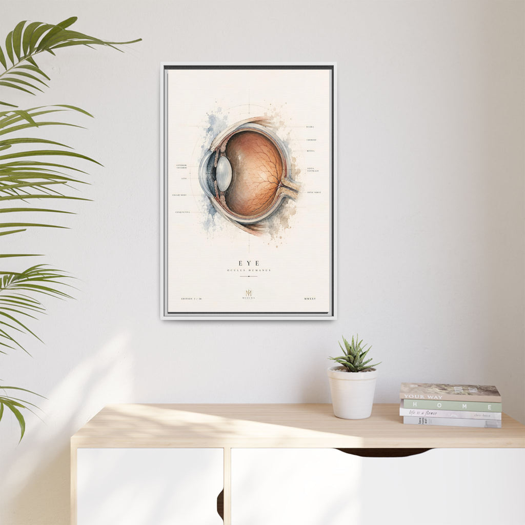 Anatomical Eye Canvas Print | Luxury Ophthalmology Wall Art | Museum-Inspired Medical Decor