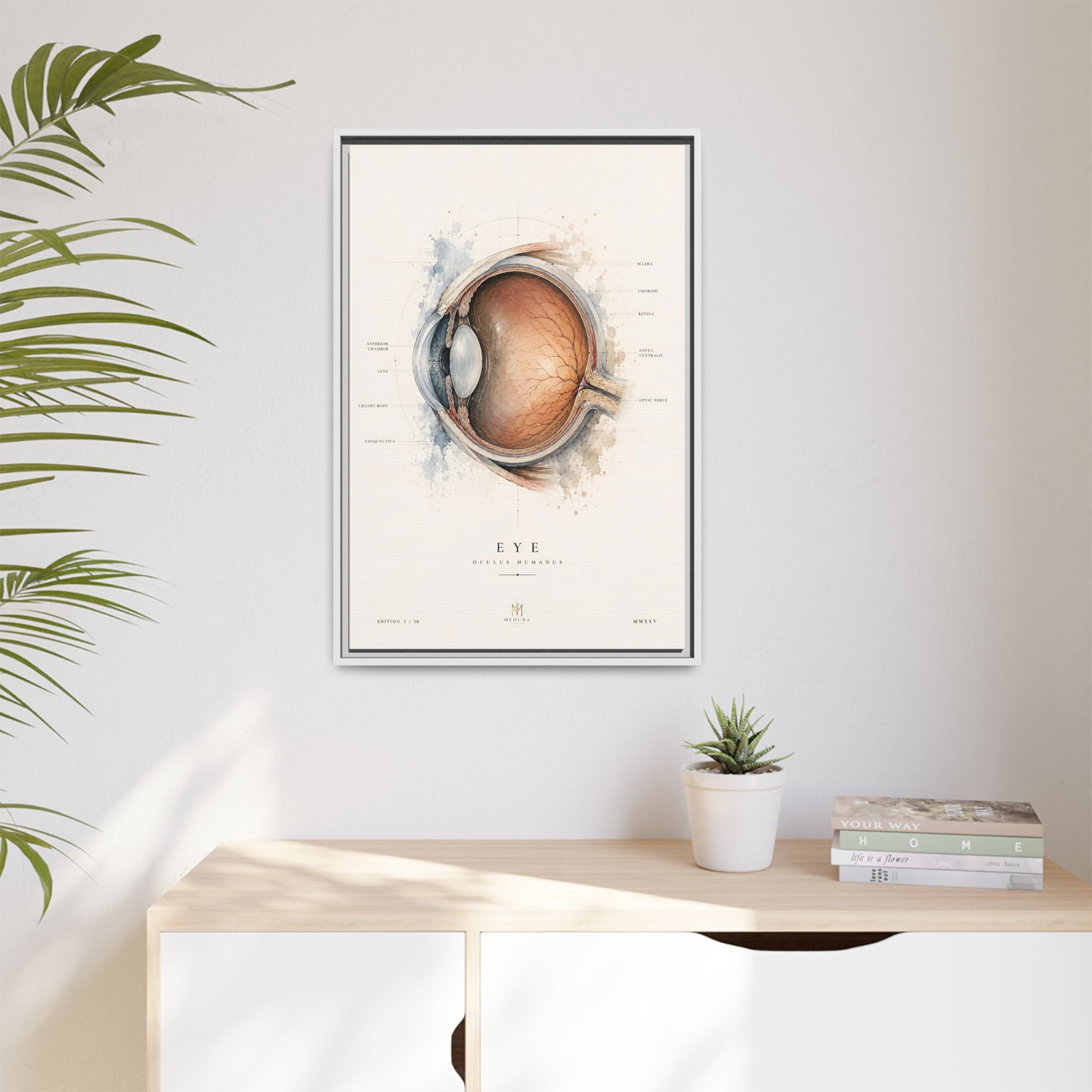Anatomical Eye Canvas Print | Luxury Ophthalmology Wall Art | Museum-Inspired Medical Decor