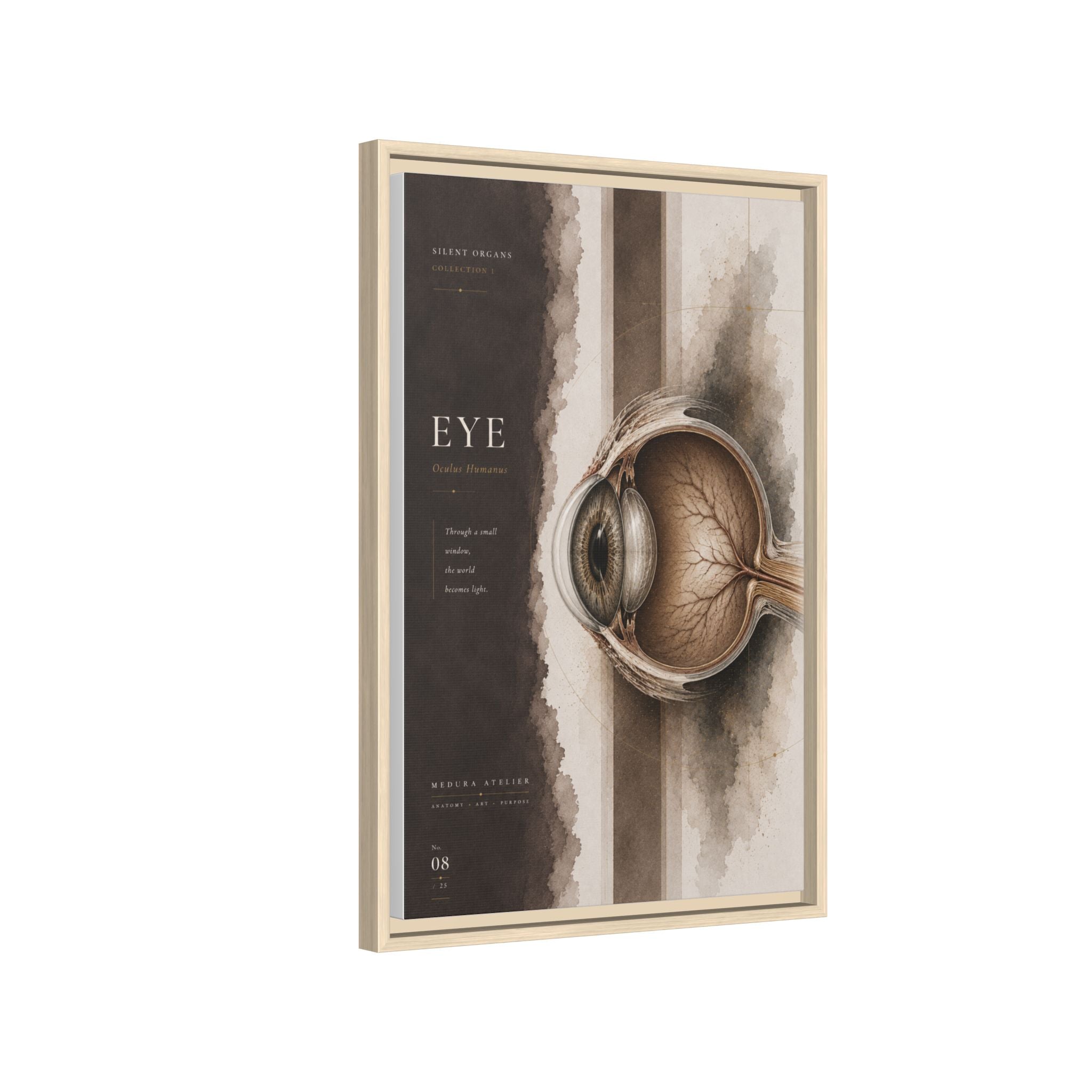 Silent Organs – Eye Wall Art | Luxury Anatomical Canvas Print | Museum-Inspired Fine Art