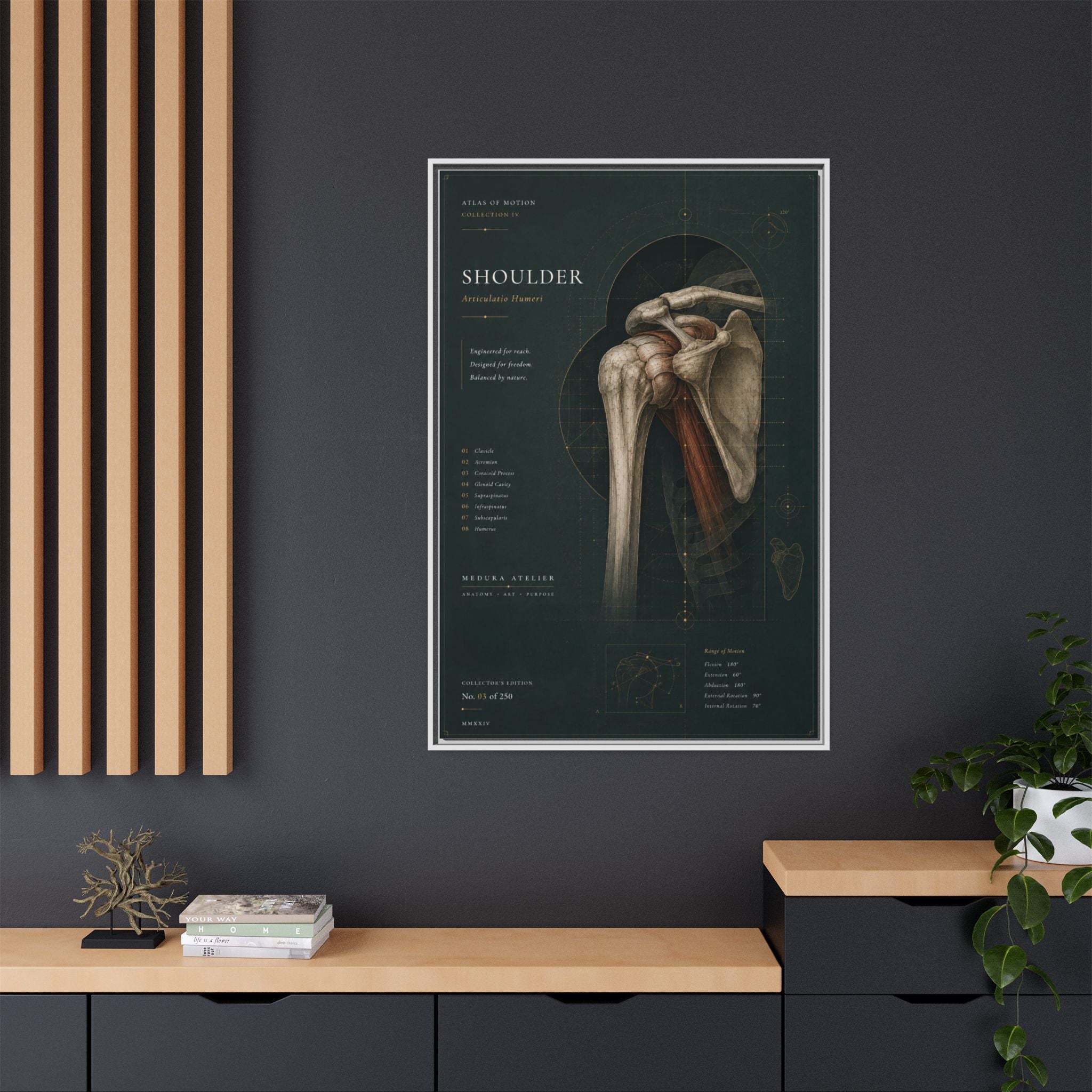 Copy of Atlas of Motion – Knee Wall Art | Luxury Orthopedic Canvas Print | Museum-Inspired Fine Art