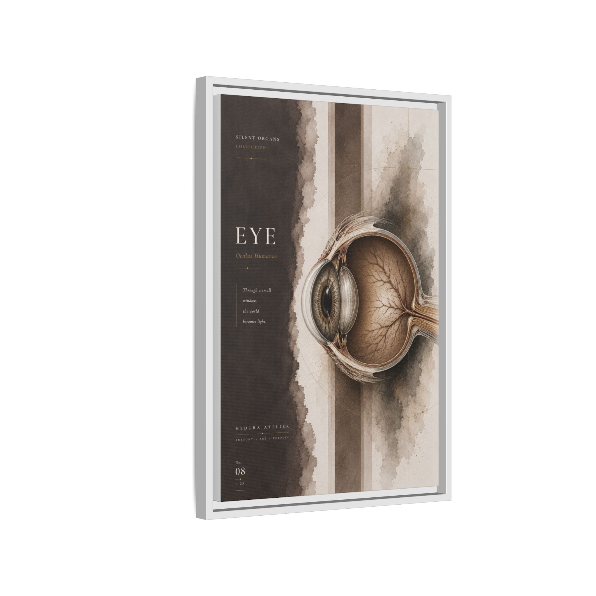 Silent Organs – Eye Wall Art | Luxury Anatomical Canvas Print | Museum-Inspired Fine Art
