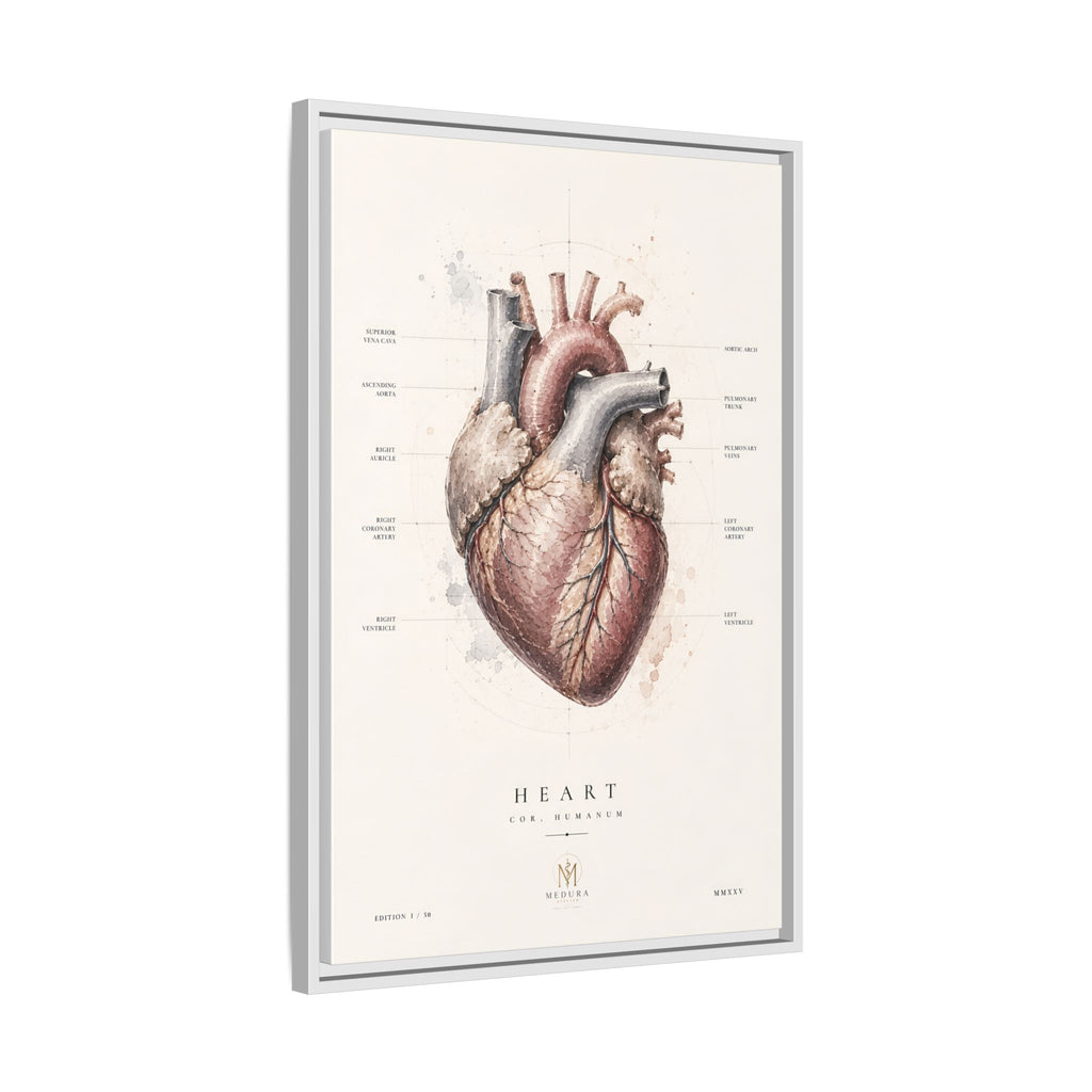 Anatomical Heart Wall Art | Luxury Medical Canvas Print | Museum-Inspired Fine Art
