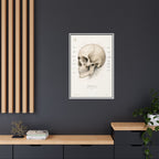 Anatomical Skull Wall Art | Luxury Medical Canvas Print | Museum-Inspired Fine Art