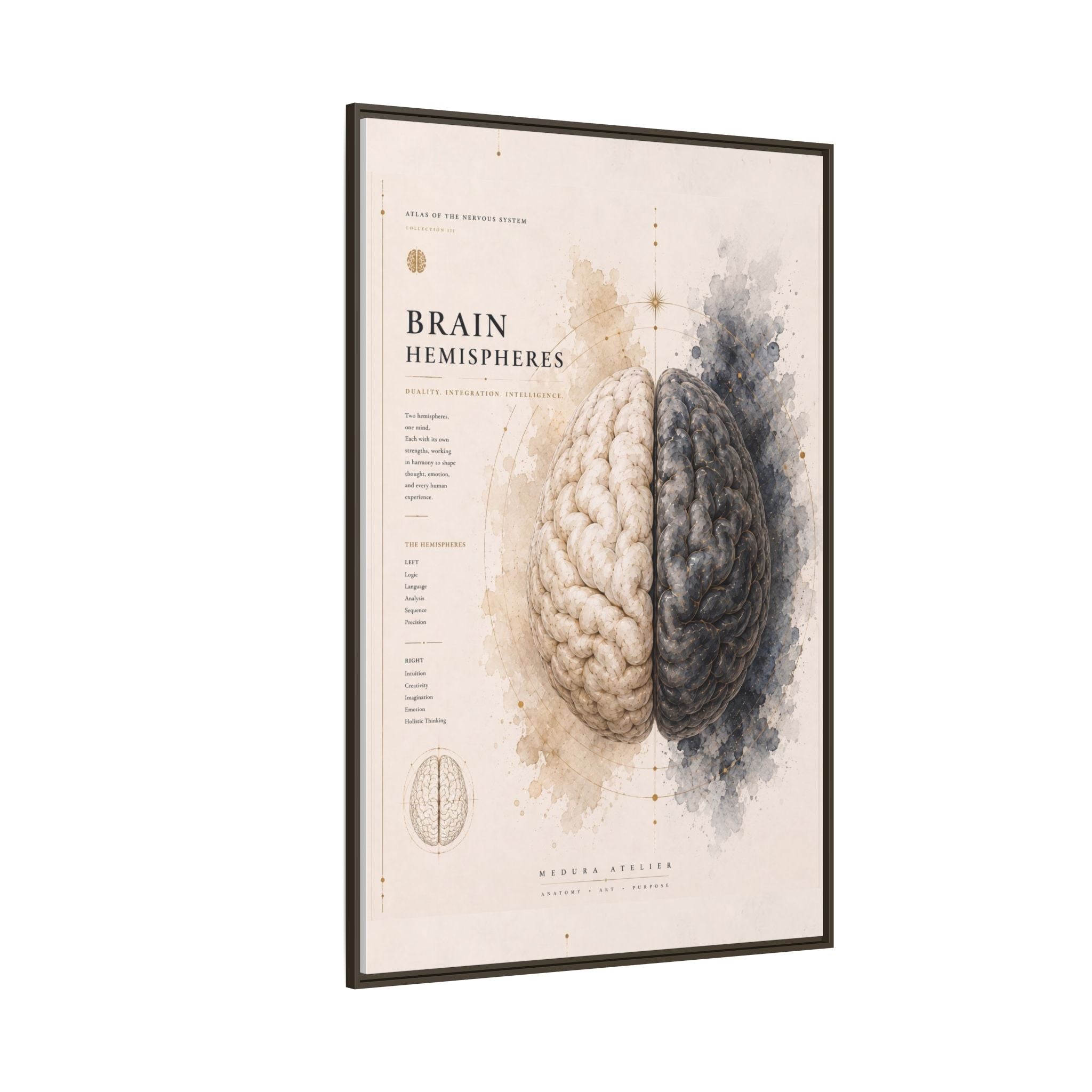 Brain Hemispheres Wall Art | Luxury Neuroscience Canvas Print | Museum-Inspired Fine Art