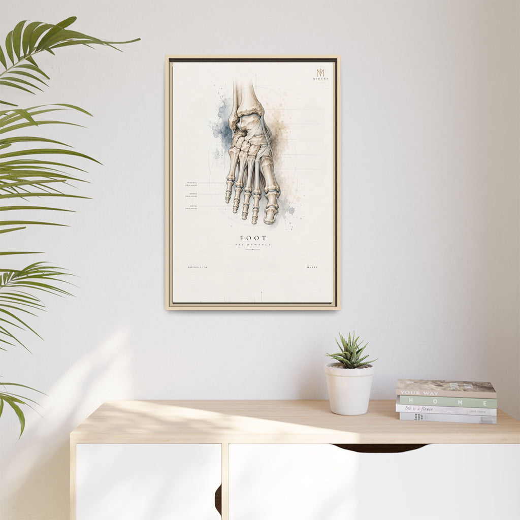 Anatomical Foot Skeleton Wall Art | Luxury Podiatry Canvas Print | Museum-Inspired Fine Art