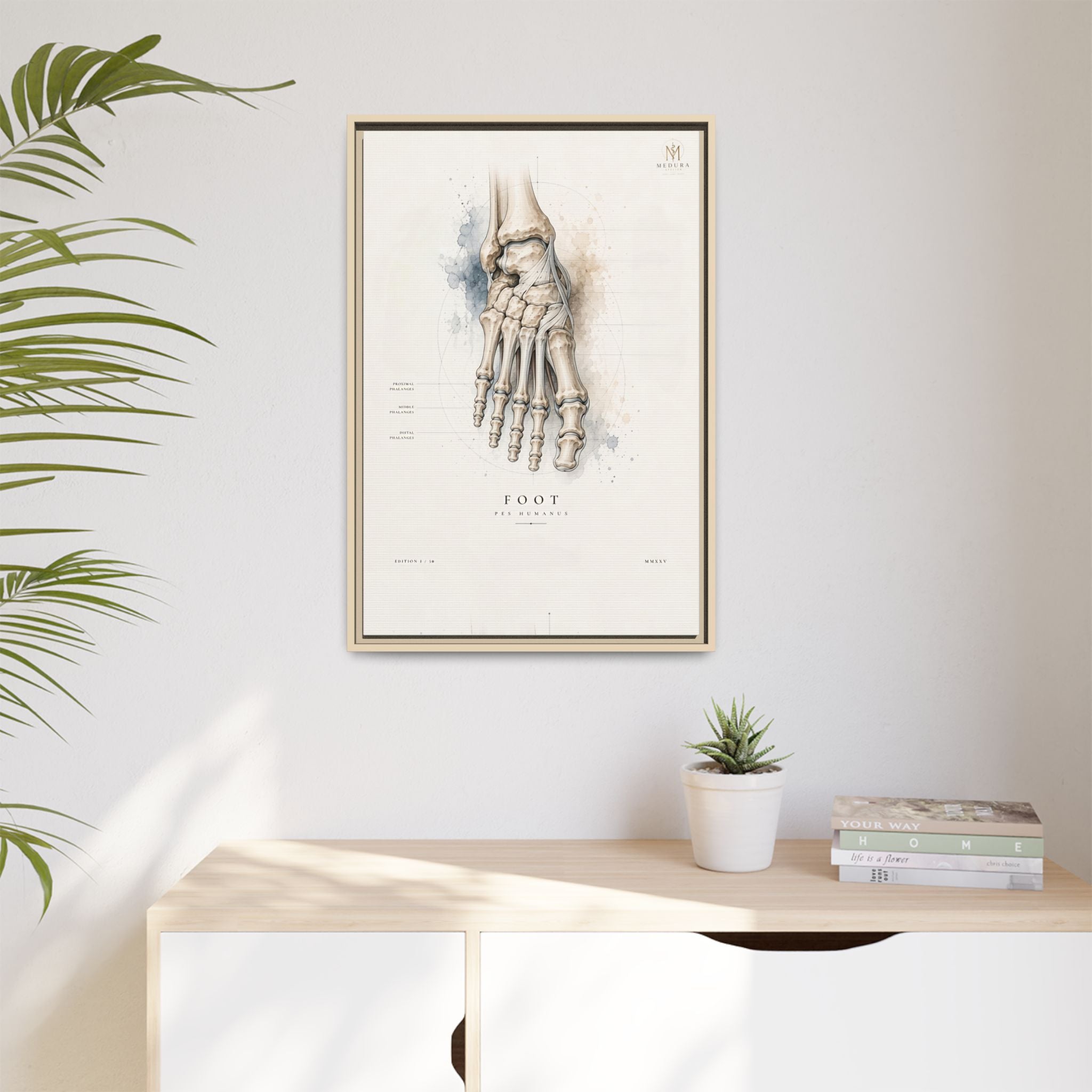 Anatomical Foot Skeleton Wall Art | Luxury Podiatry Canvas Print | Museum-Inspired Fine Art