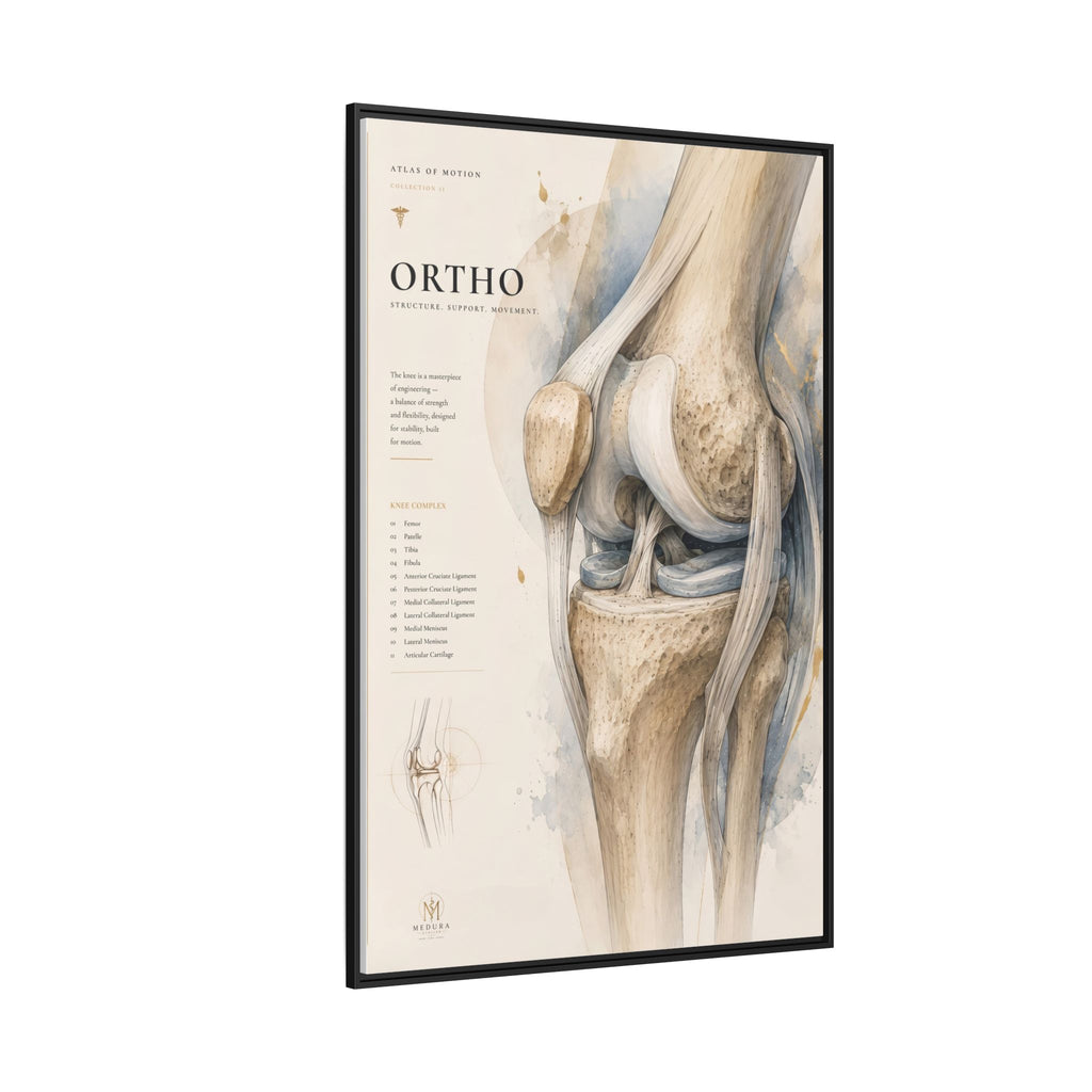 Orthopaedic Knee Anatomy Wall Art | Luxury Orthopedic Canvas Print | Museum-Inspired Fine Art