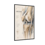 Orthopaedic Knee Anatomy Wall Art | Luxury Orthopedic Canvas Print | Museum-Inspired Fine Art