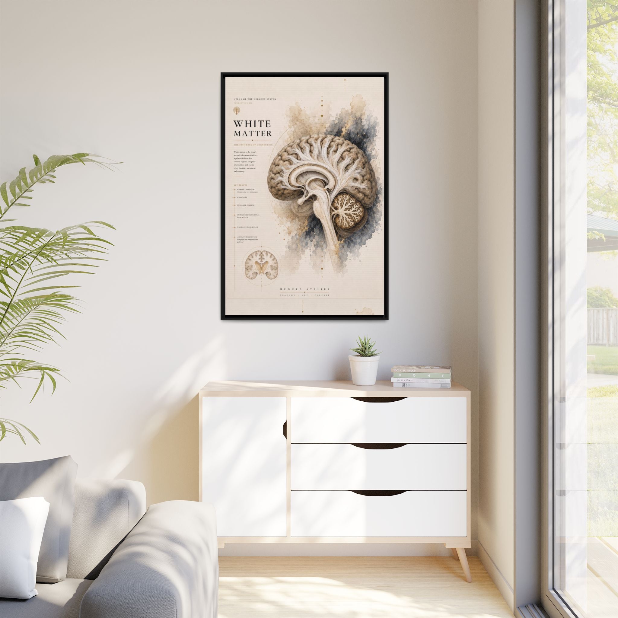 White Matter Brain Wall Art | Luxury Neuroscience Canvas Print | Museum-Inspired Fine Art