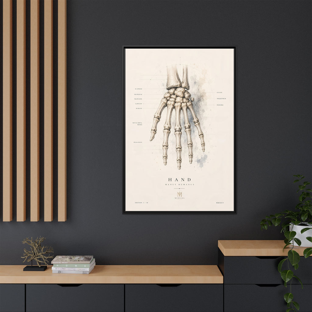 Anatomical Hand Skeleton Wall Art | Luxury Orthopaedic Canvas Print | Museum-Inspired Fine Art