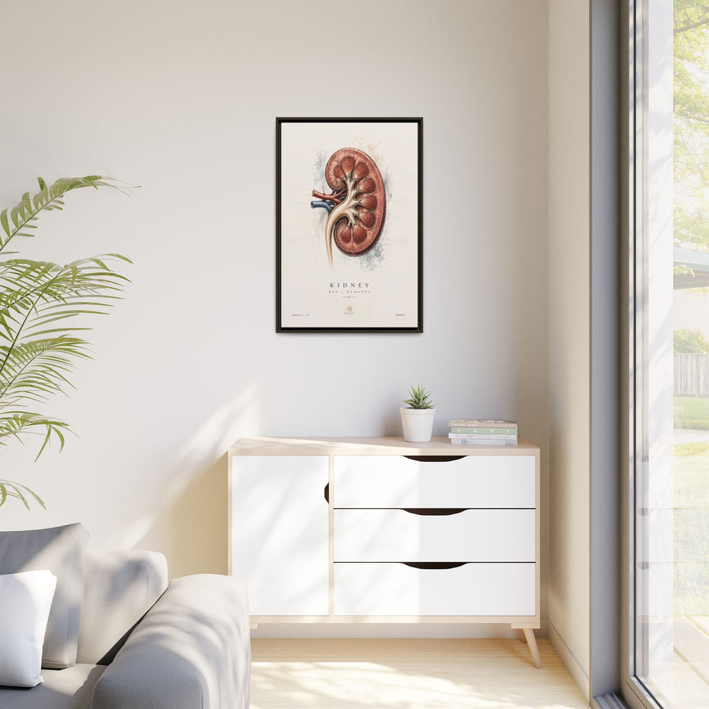 Anatomical Kidney Wall Art | Luxury Nephrology Canvas Print | Museum-Inspired Fine Art