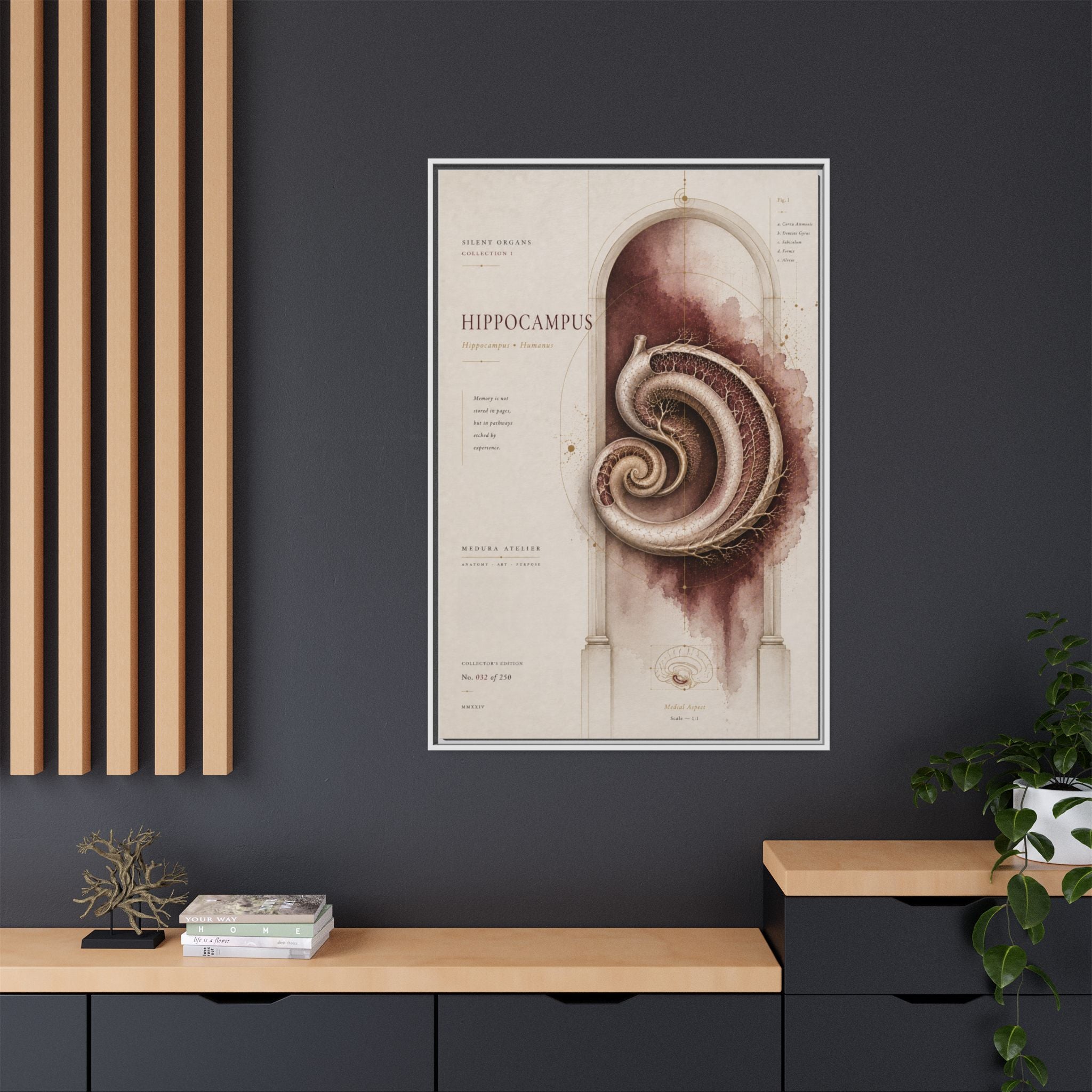 Silent Organs – Hippocampus Wall Art | Luxury Neuroscience Canvas Print | Museum-Inspired Fine Art
