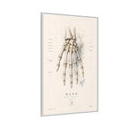 Anatomical Hand Skeleton Wall Art | Luxury Orthopaedic Canvas Print | Museum-Inspired Fine Art