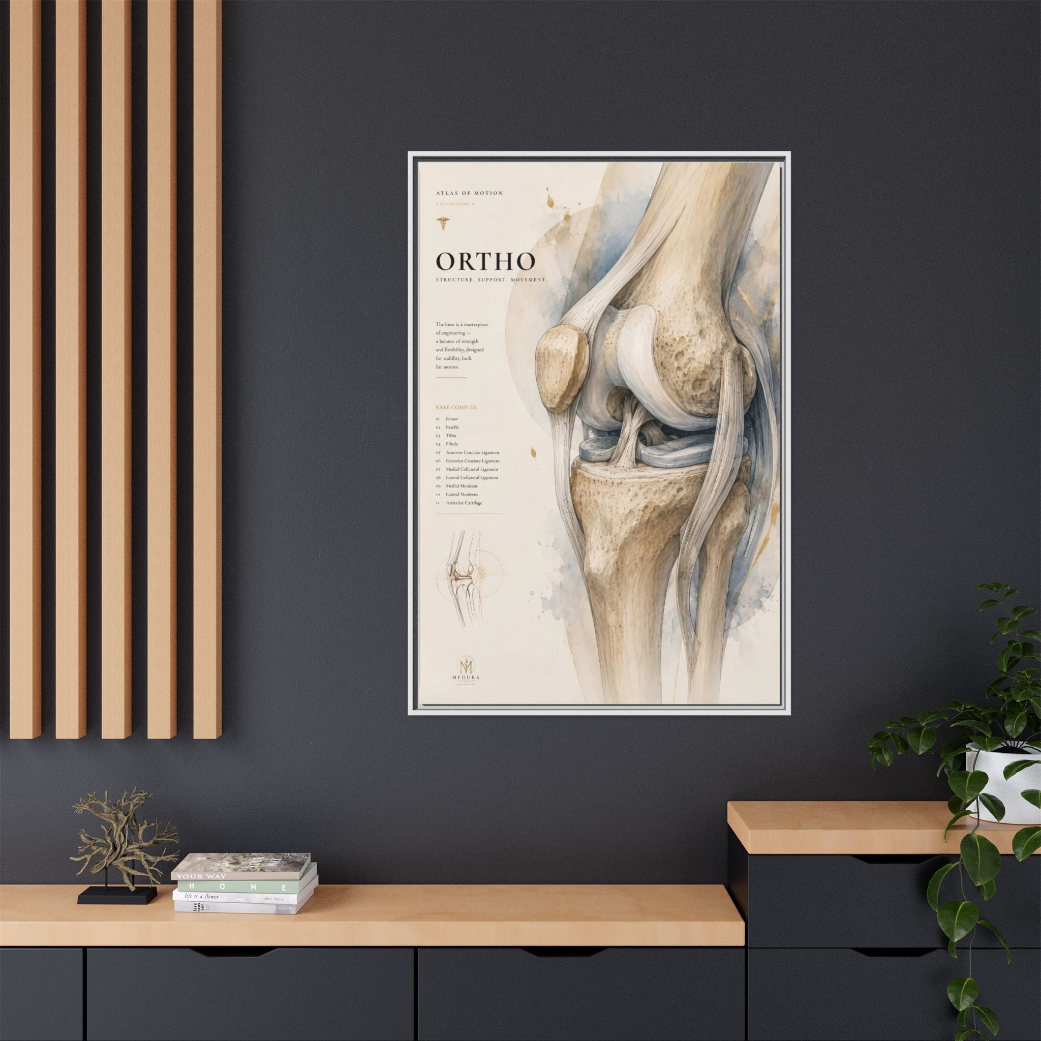 Orthopaedic Knee Anatomy Wall Art | Luxury Orthopedic Canvas Print | Museum-Inspired Fine Art