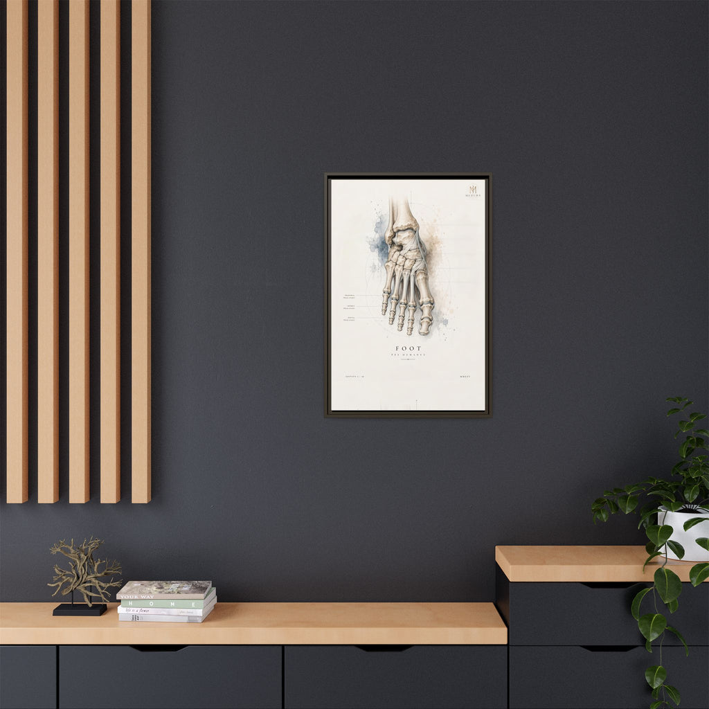 Anatomical Foot Skeleton Wall Art | Luxury Podiatry Canvas Print | Museum-Inspired Fine Art