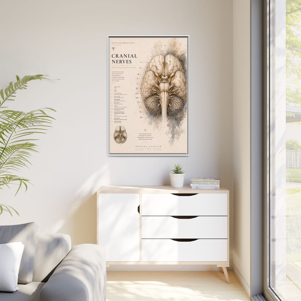 White Matter Brain Wall Art | Luxury Neuroscience Canvas Print | Museum-Inspired Fine Art