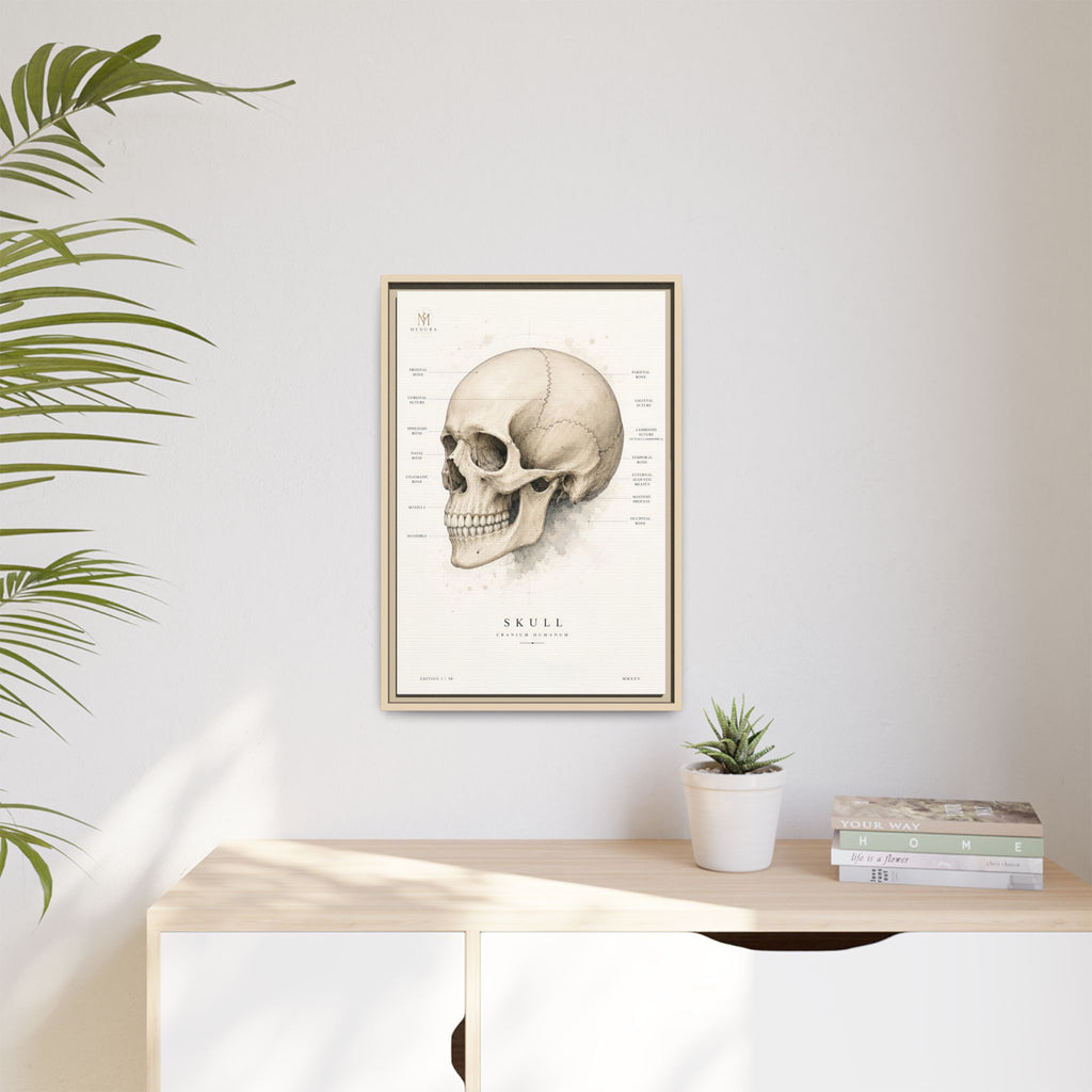 Anatomical Skull Wall Art | Luxury Medical Canvas Print | Museum-Inspired Fine Art