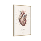 Anatomical Heart Wall Art | Luxury Medical Canvas Print | Museum-Inspired Fine Art