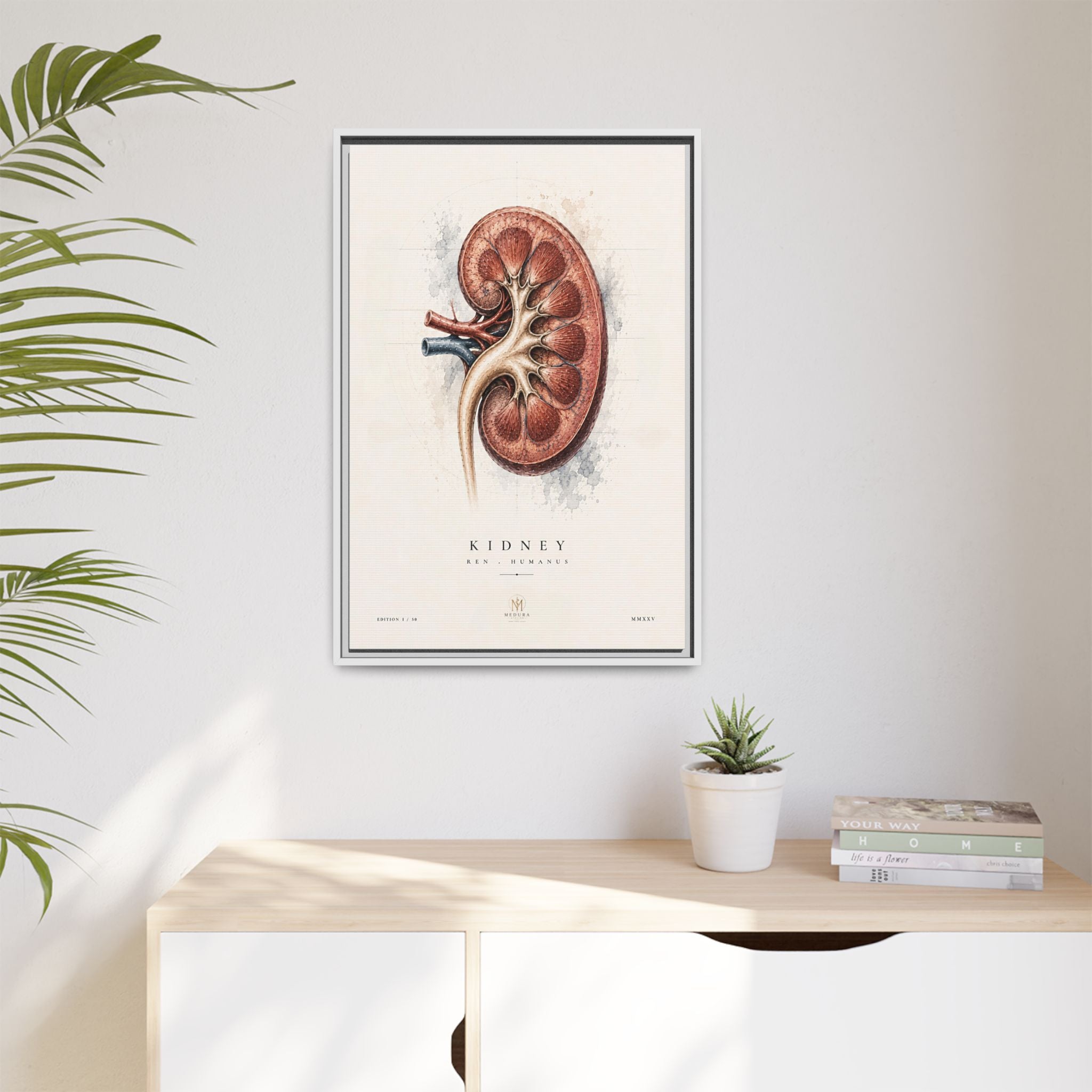 Anatomical Kidney Wall Art | Luxury Nephrology Canvas Print | Museum-Inspired Fine Art