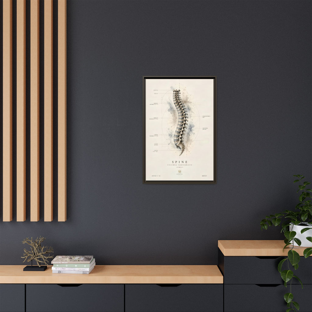 Anatomical Spine Wall Art | Luxury Vertebral Column Canvas Print | Museum-Inspired Fine Art