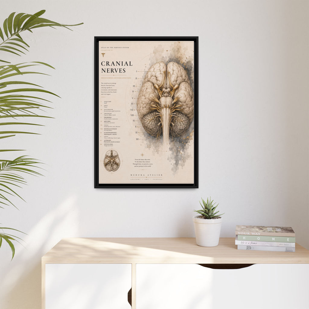 White Matter Brain Wall Art | Luxury Neuroscience Canvas Print | Museum-Inspired Fine Art
