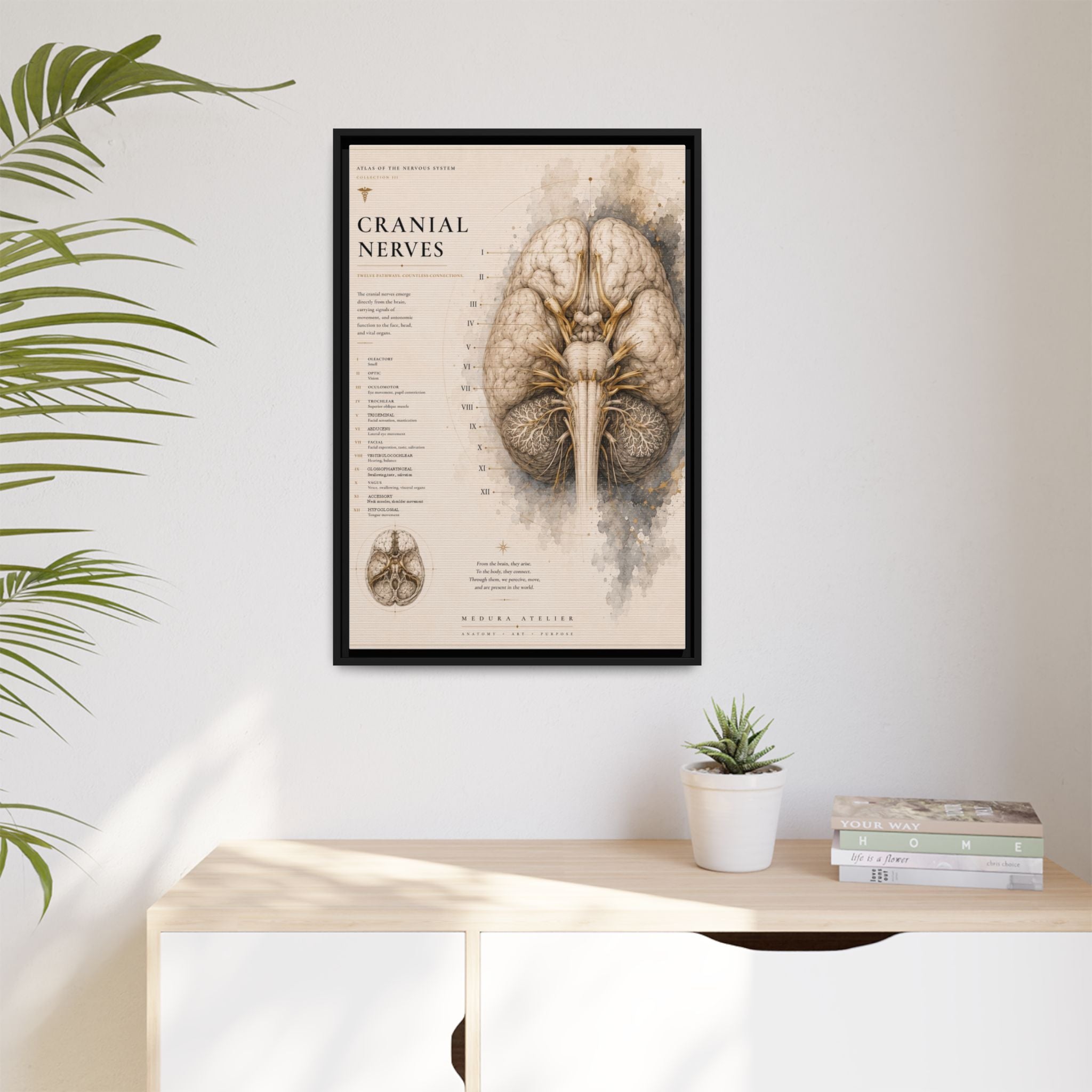 White Matter Brain Wall Art | Luxury Neuroscience Canvas Print | Museum-Inspired Fine Art