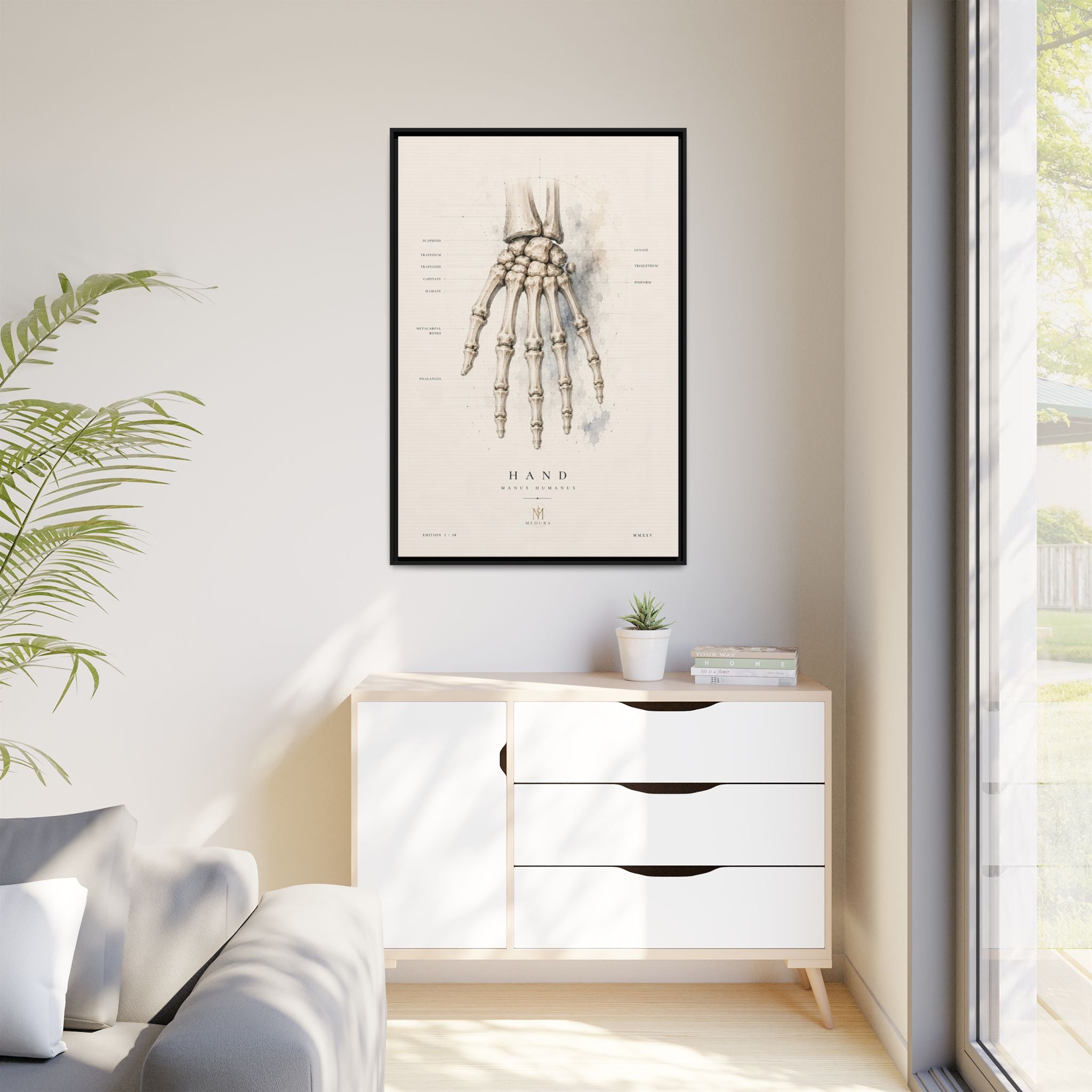Anatomical Hand Skeleton Wall Art | Luxury Orthopaedic Canvas Print | Museum-Inspired Fine Art