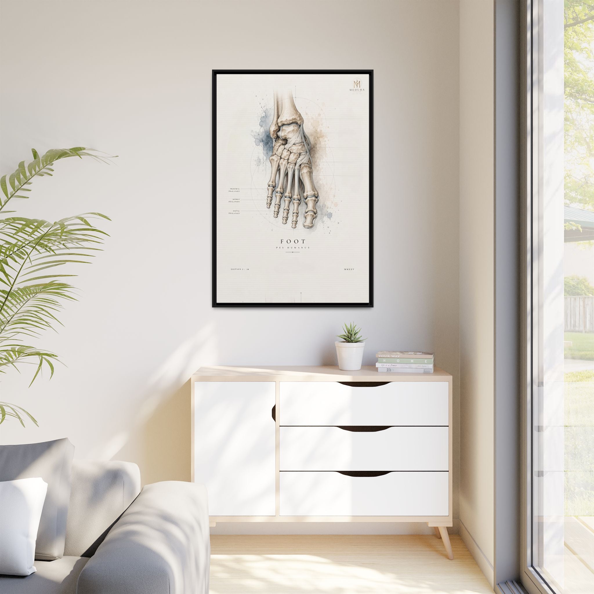 Anatomical Foot Skeleton Wall Art | Luxury Podiatry Canvas Print | Museum-Inspired Fine Art
