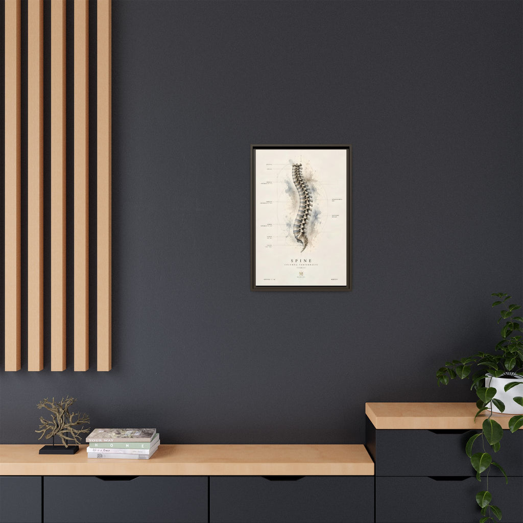Anatomical Spine Wall Art | Luxury Vertebral Column Canvas Print | Museum-Inspired Fine Art