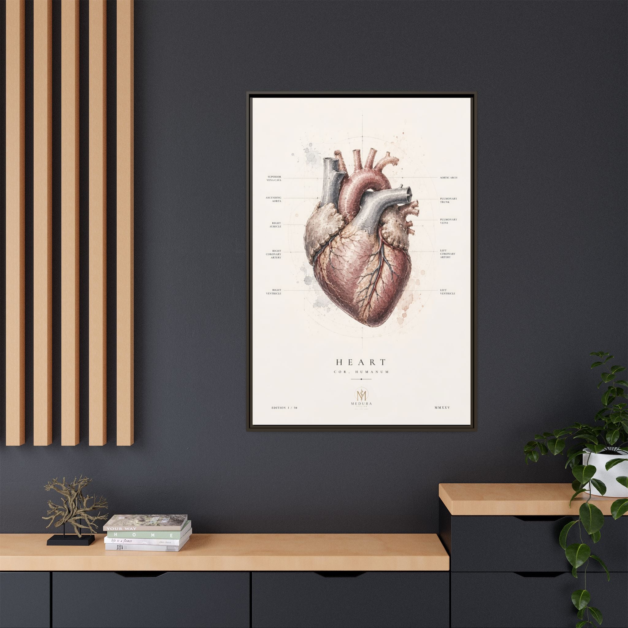 Anatomical Heart Wall Art | Luxury Medical Canvas Print | Museum-Inspired Fine Art