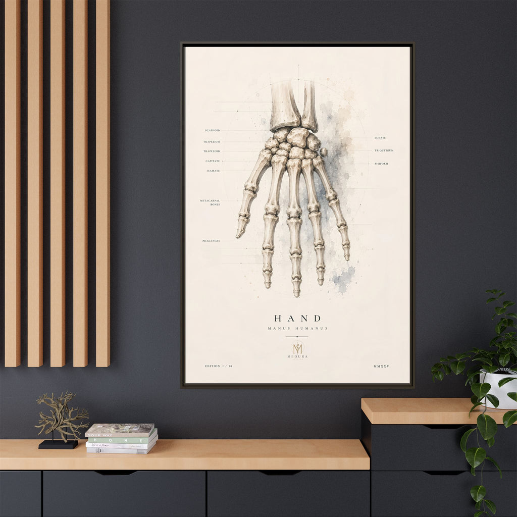 Anatomical Hand Skeleton Wall Art | Luxury Orthopaedic Canvas Print | Museum-Inspired Fine Art