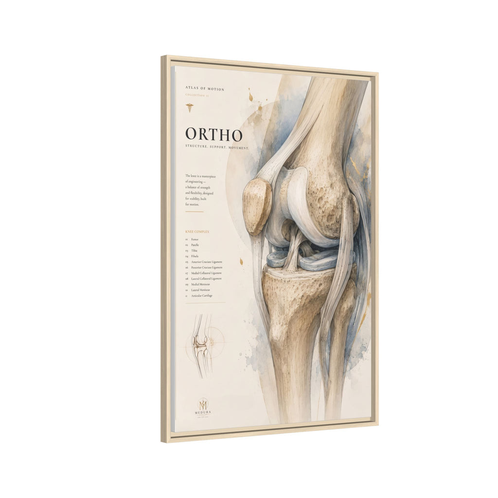 Orthopaedic Knee Anatomy Wall Art | Luxury Orthopedic Canvas Print | Museum-Inspired Fine Art