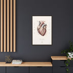 Anatomical Heart Wall Art | Luxury Medical Canvas Print | Museum-Inspired Fine Art