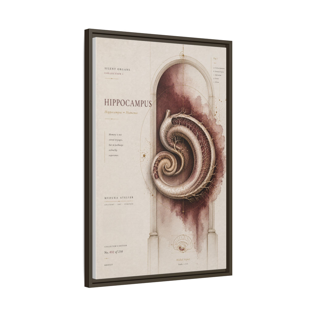 Silent Organs – Hippocampus Wall Art | Luxury Neuroscience Canvas Print | Museum-Inspired Fine Art