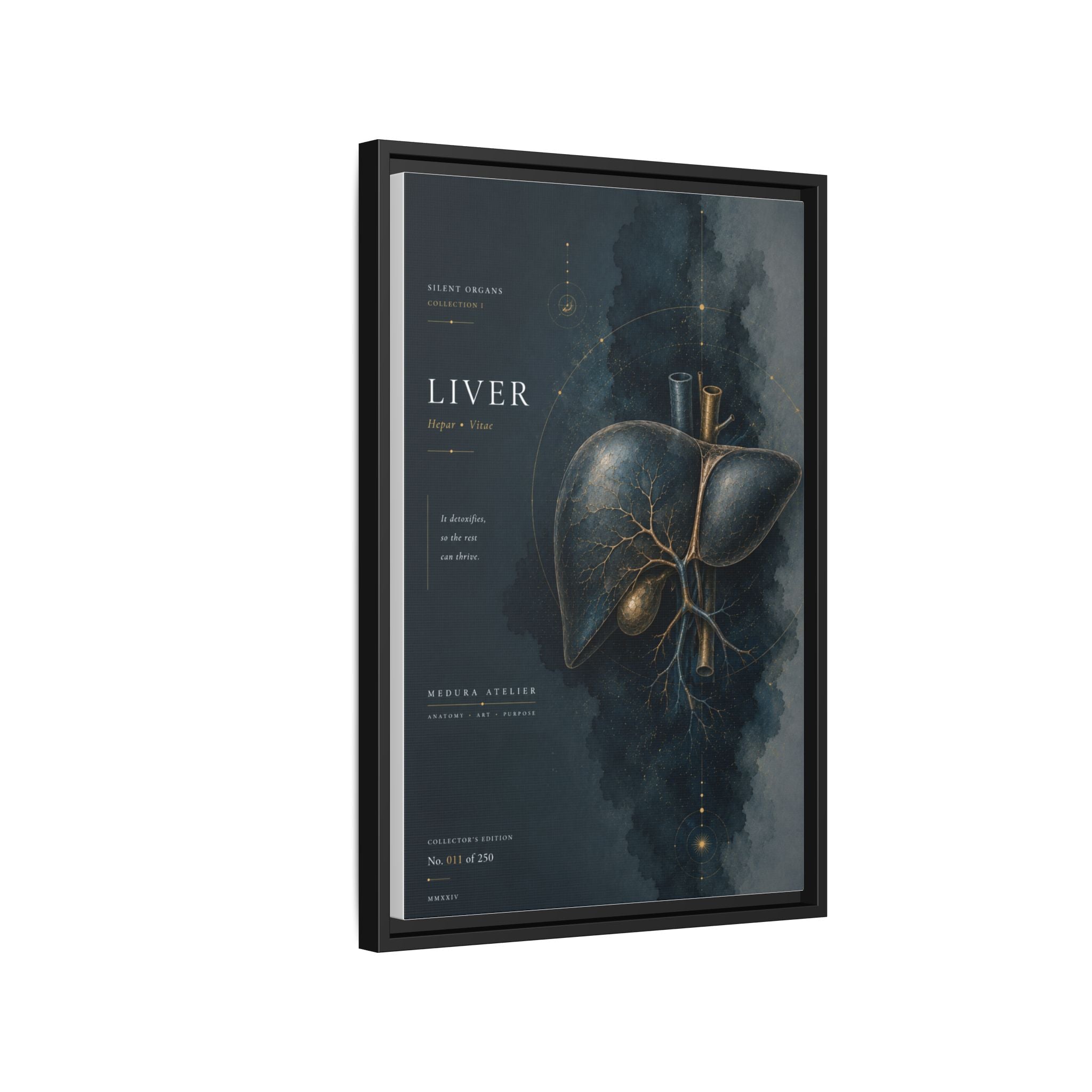 Silent Organs – Liver Wall Art | Luxury Anatomical Canvas Print | Museum-Inspired Fine Art