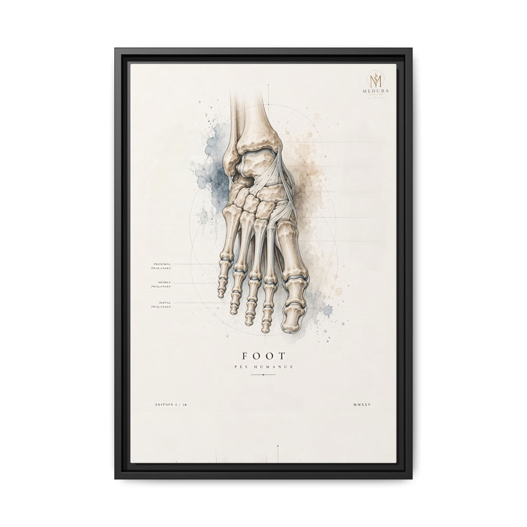 Anatomical Foot Skeleton Wall Art | Luxury Podiatry Canvas Print | Museum-Inspired Fine Art
