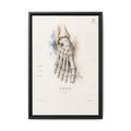 Anatomical Foot Skeleton Wall Art | Luxury Podiatry Canvas Print | Museum-Inspired Fine Art