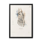 Anatomical Foot Skeleton Wall Art | Luxury Podiatry Canvas Print | Museum-Inspired Fine Art