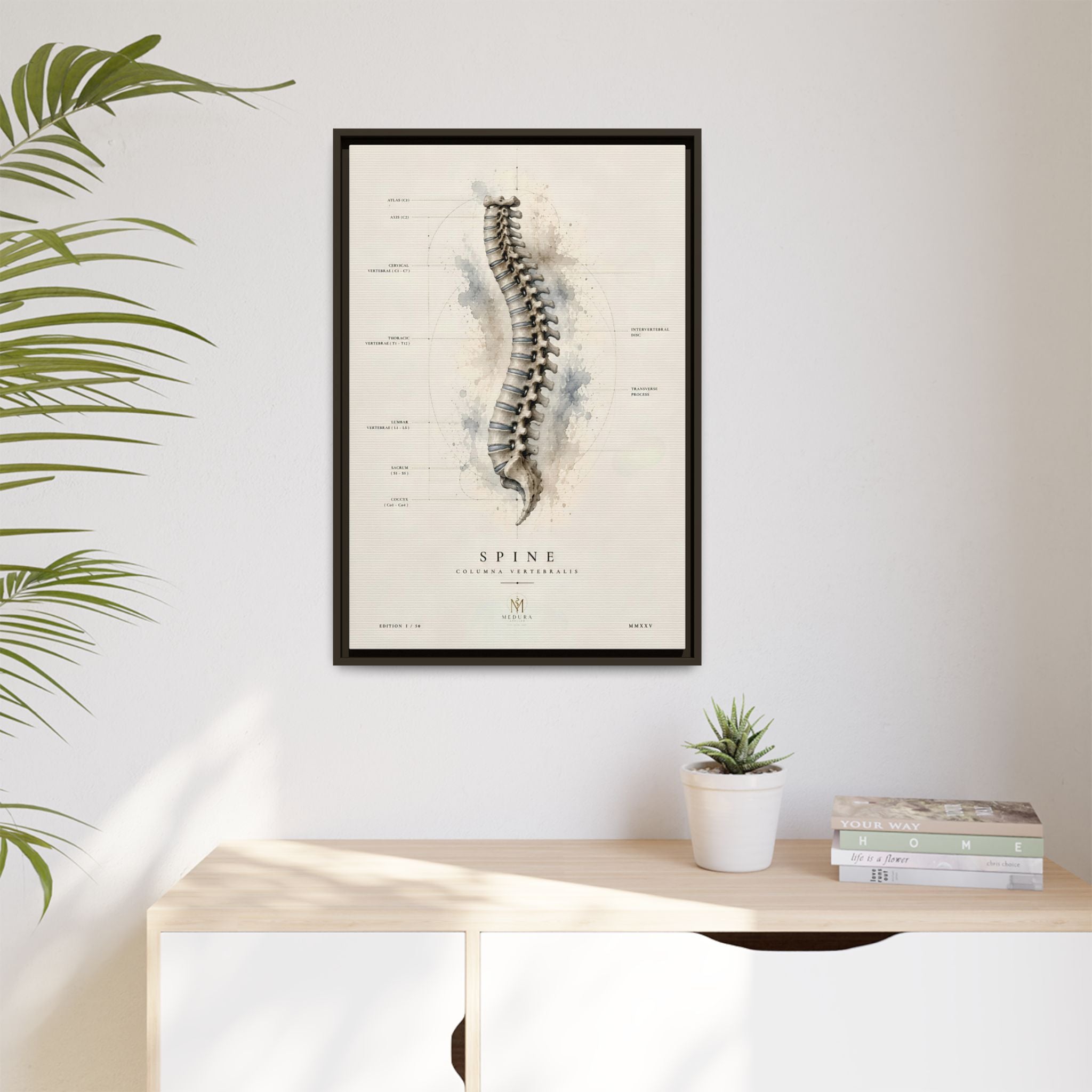 Anatomical Spine Wall Art | Luxury Vertebral Column Canvas Print | Museum-Inspired Fine Art